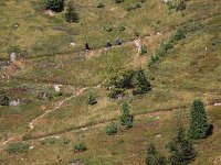 croisee des chemins_1.JPG