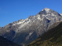 dent parrachee_1.JPG