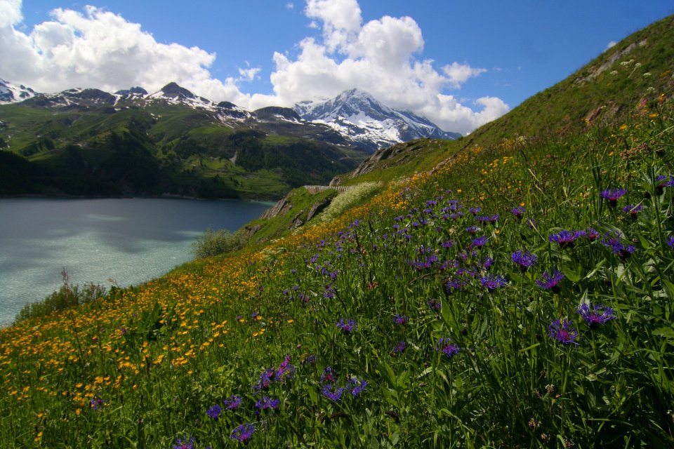 Lac du Chevril
