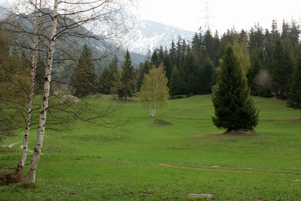 Orgere 001