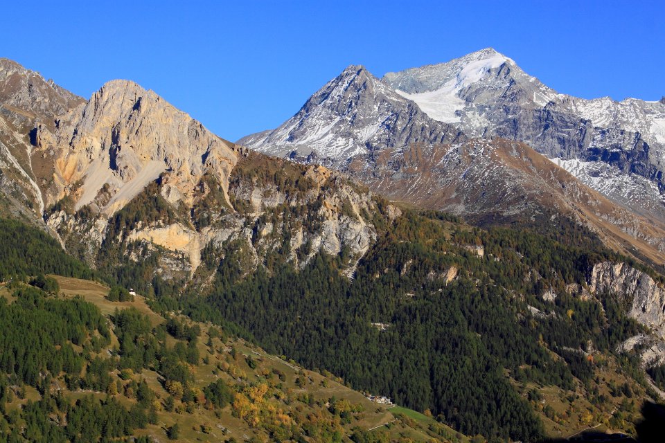 Mt Pourri rosuel3
