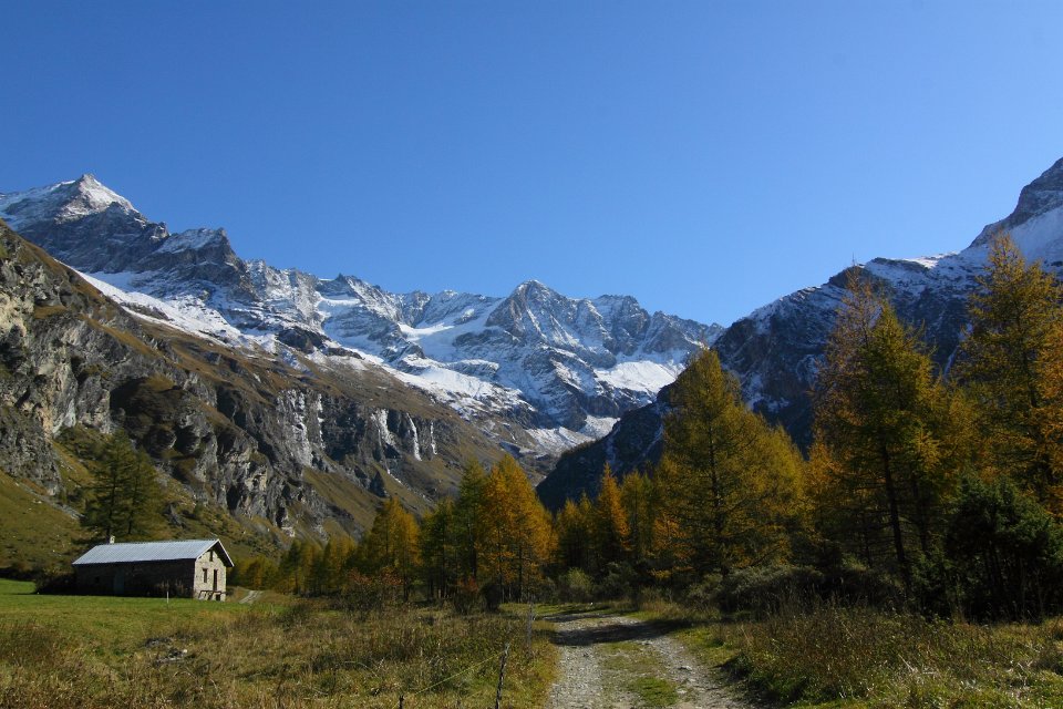 Rosuel en automne4
