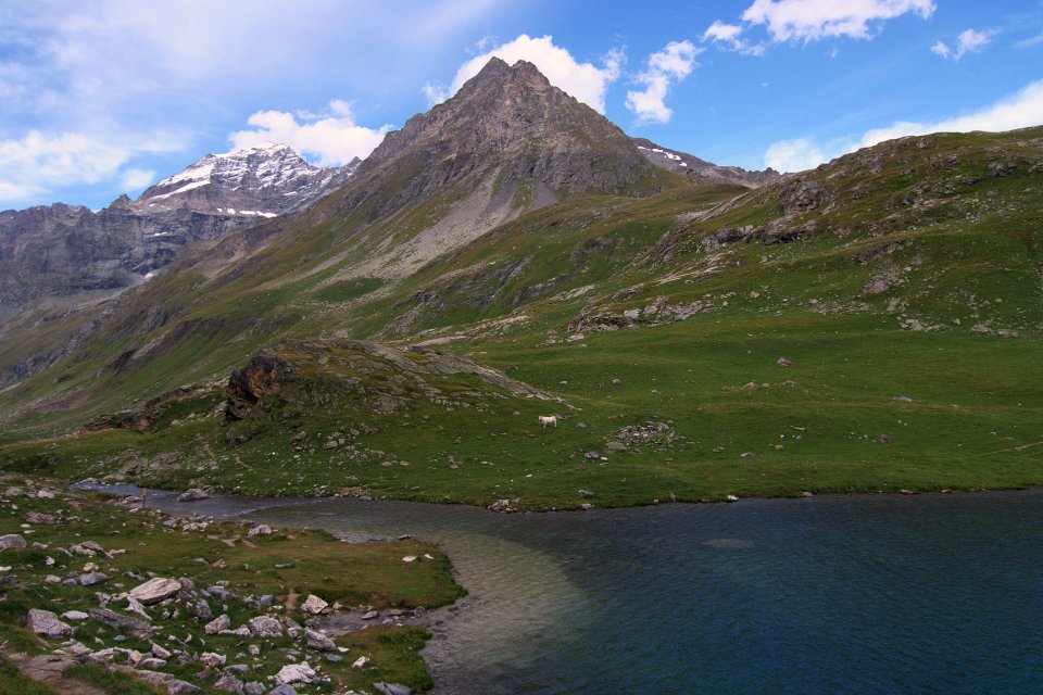 mont pourri depuis lac de la plagne