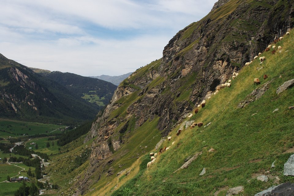 vallee du rosuel