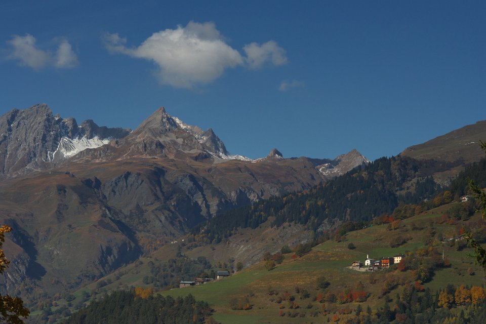 photoSaint bernard le roignais