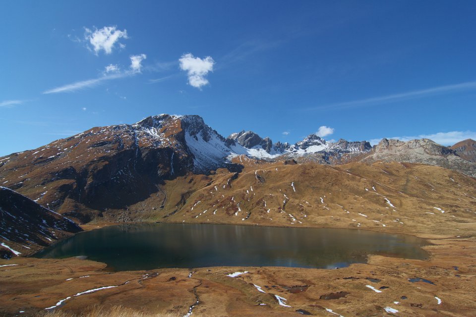 photoSaint bernard 20 lac verney