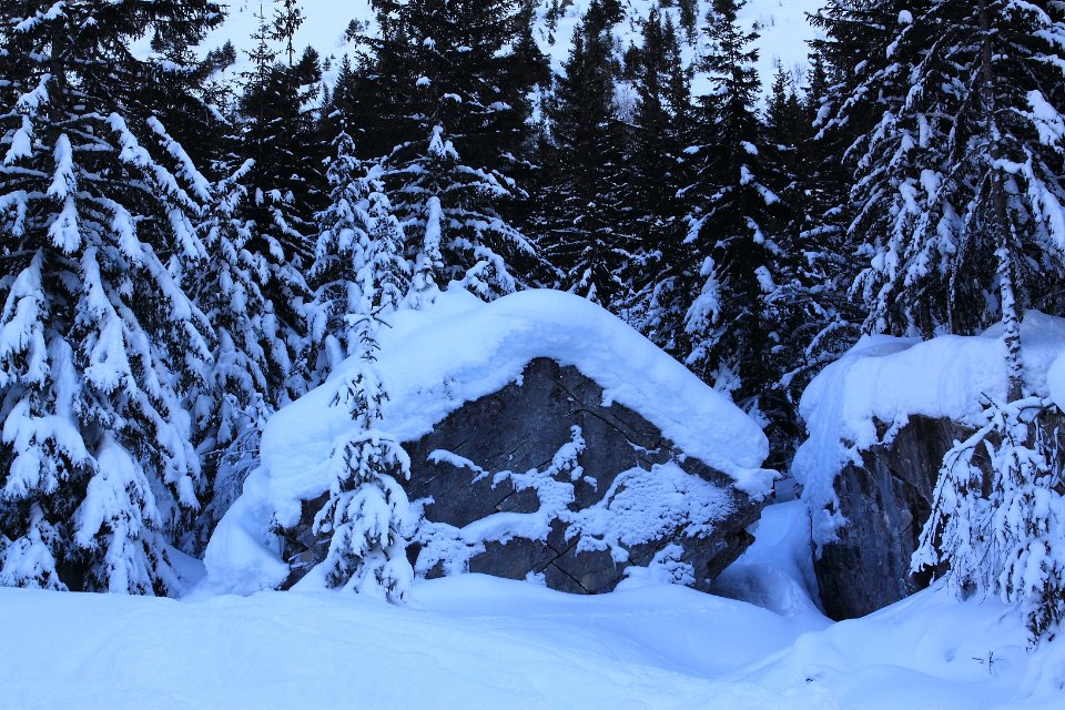 grande casse hivernale 82