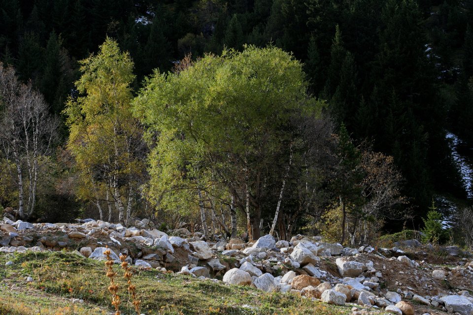 pralognan automne 21