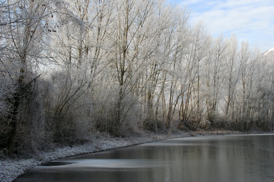 Bourgneuf 01
