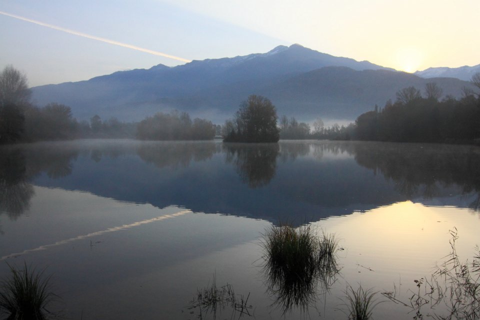 automne lac gresy 107dent chat