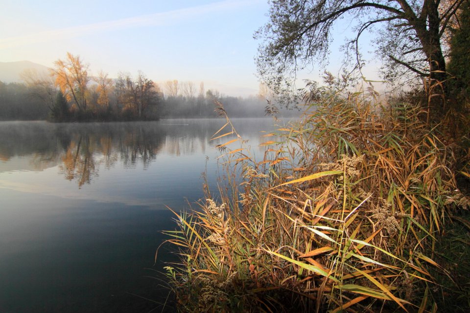 automne lac gresy 110dent chat