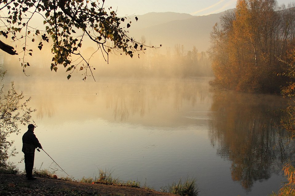 automne lac gresy 122dent chat