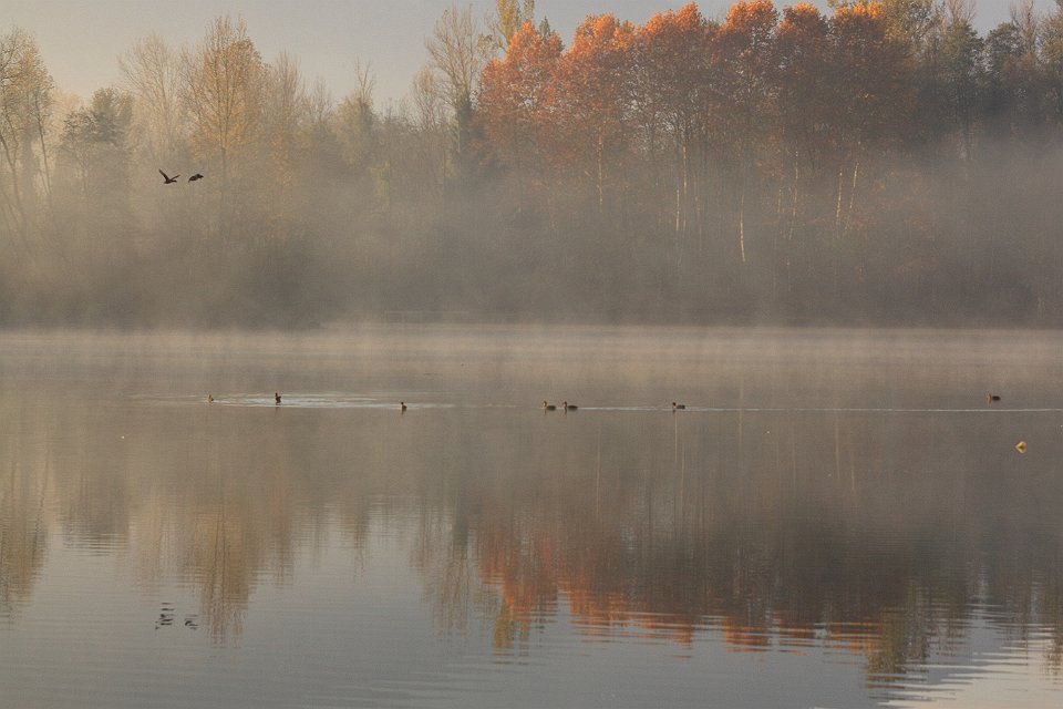 automne lac gresy 138dent chat