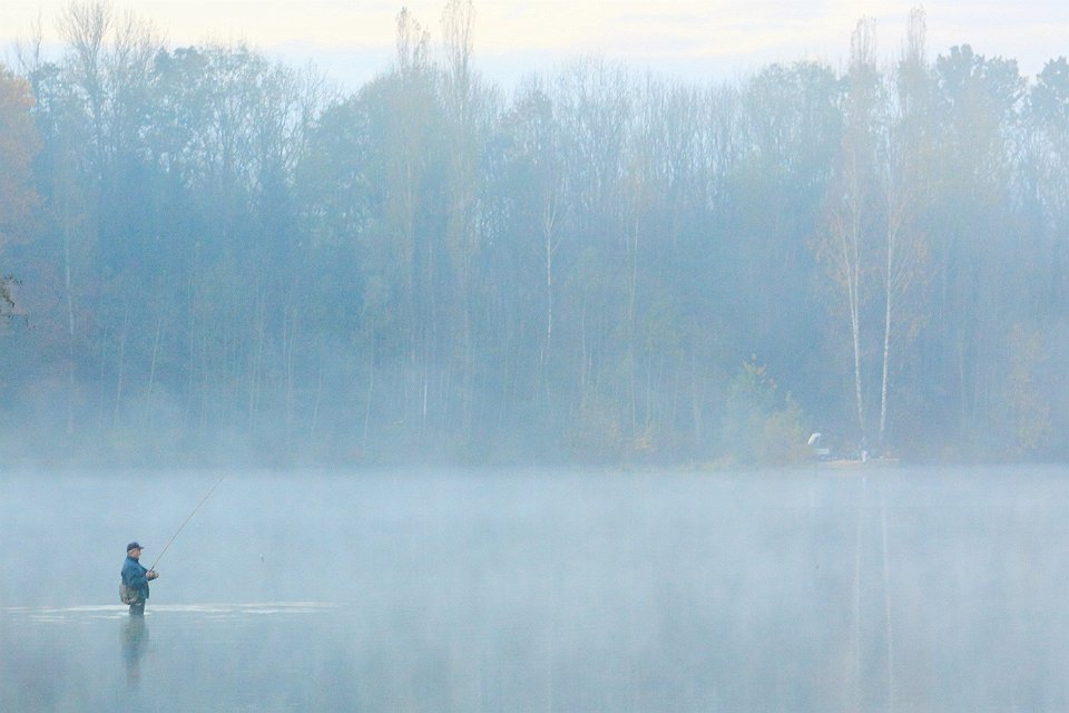 automne lac gresy 16dent chat