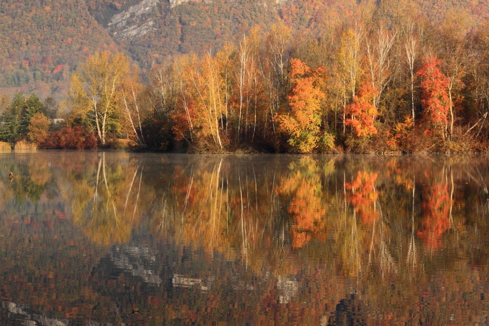automne lac gresy 182dent chat