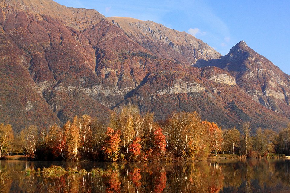 automne lac gresy 189dent chat