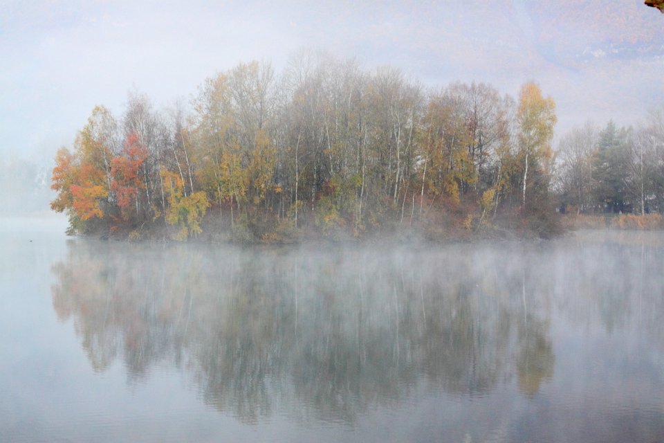 automne lac gresy 29dent chat