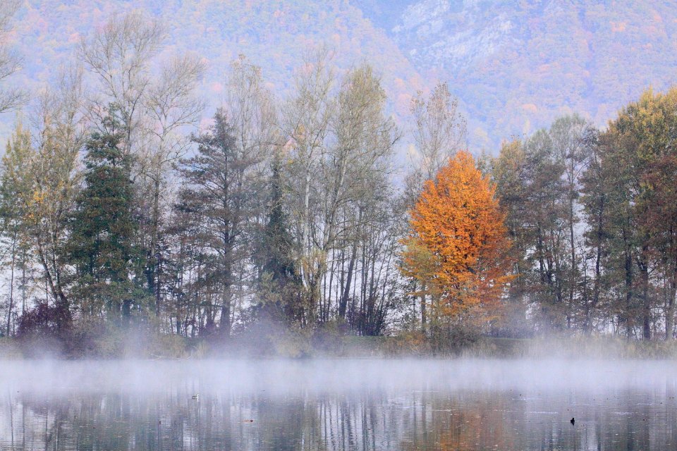 automne lac gresy 78dent chat