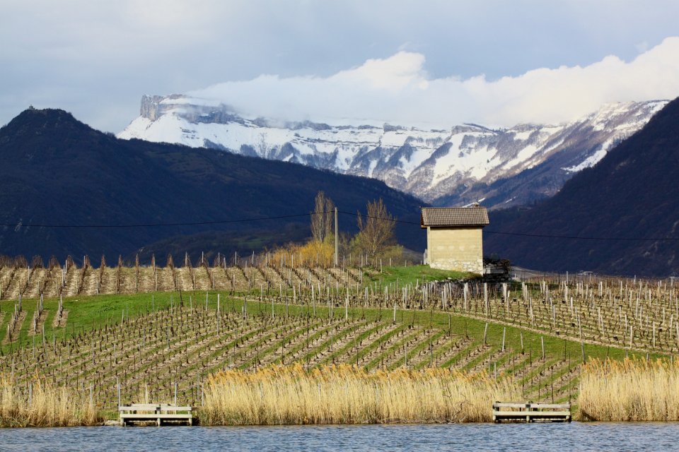 coise & st andre4