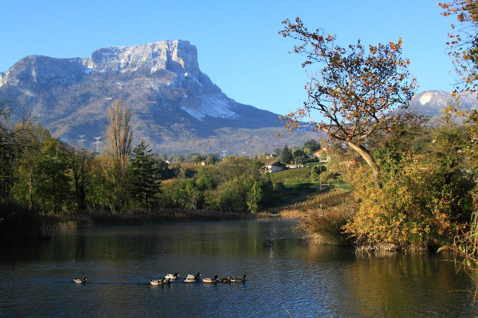 lac de saint andre canards  8