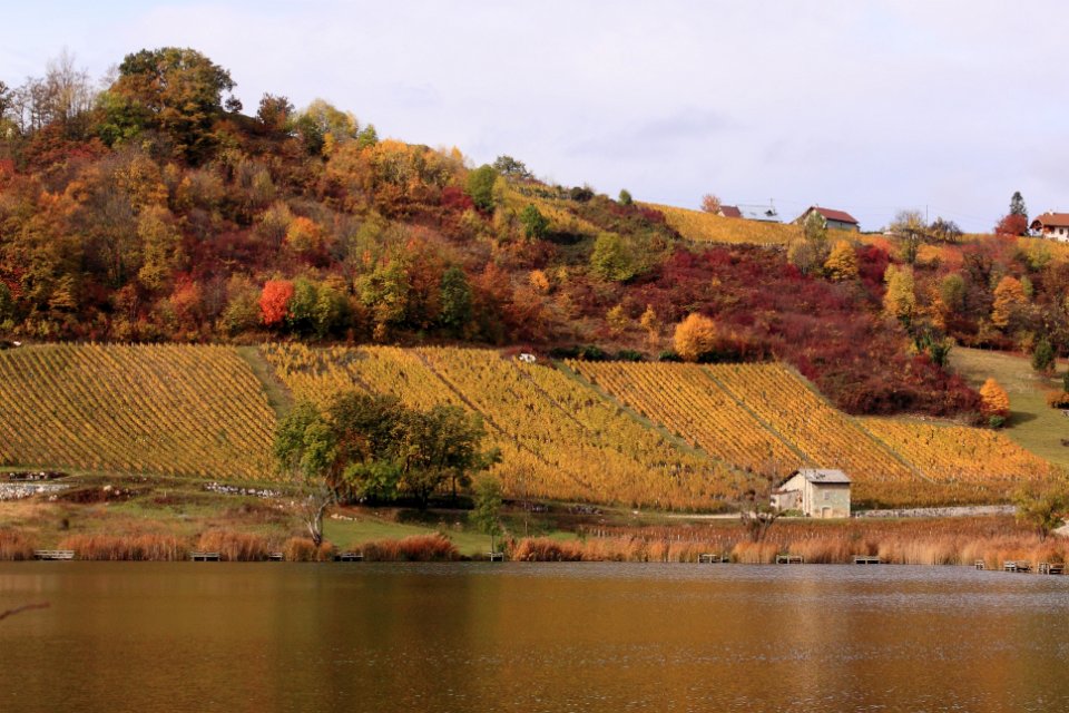 lac de st andre