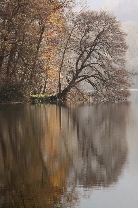 lac de st helene 36