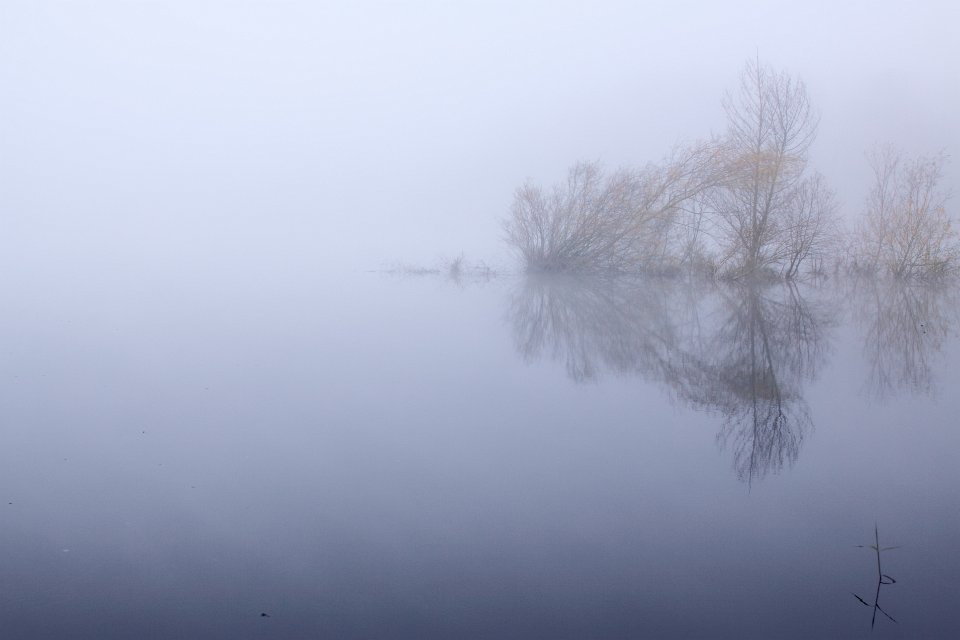 ste helene sous brume1