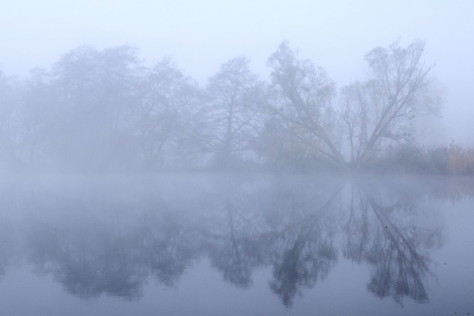 ste helene sous brume2