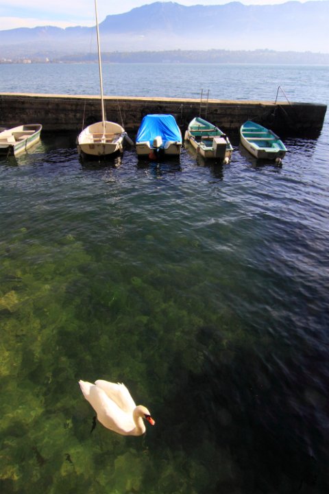 Bourdeau sur lac du bourget1