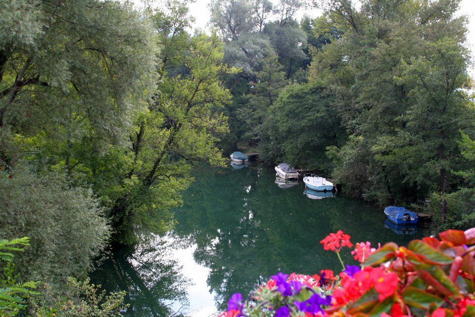 Chanaz et canal de Savieres 11