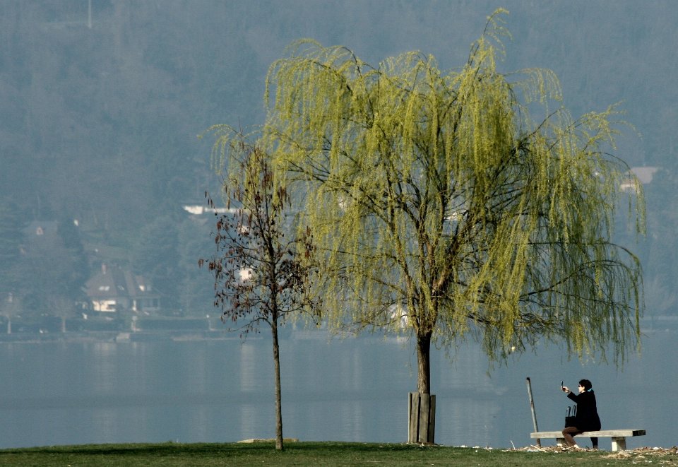 Lac du Bourget 21 2