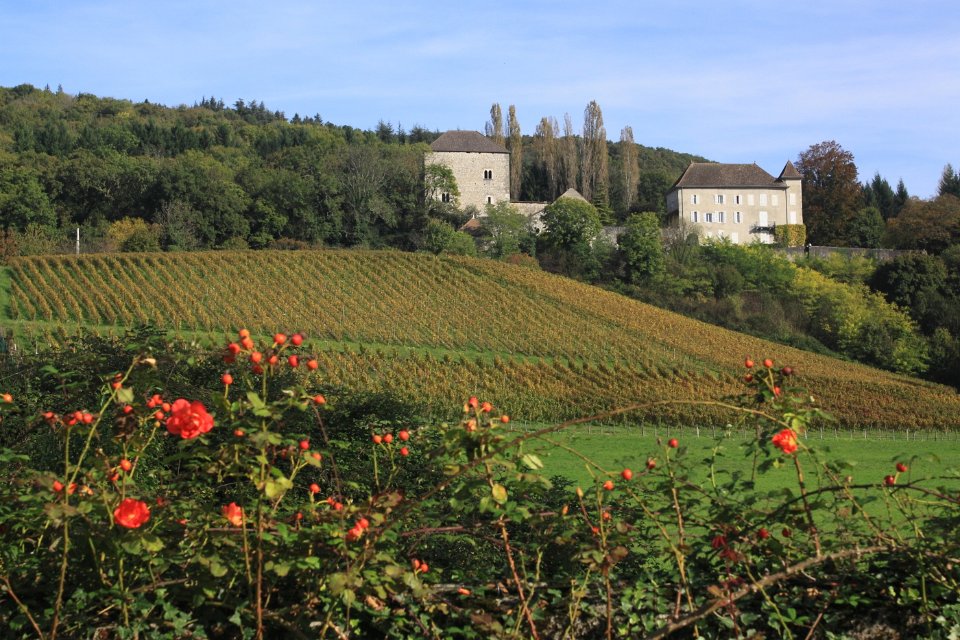 grand colombier 1