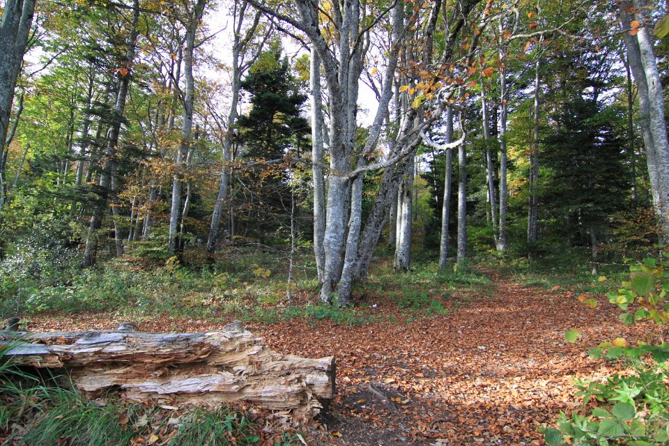 grand colombier 3