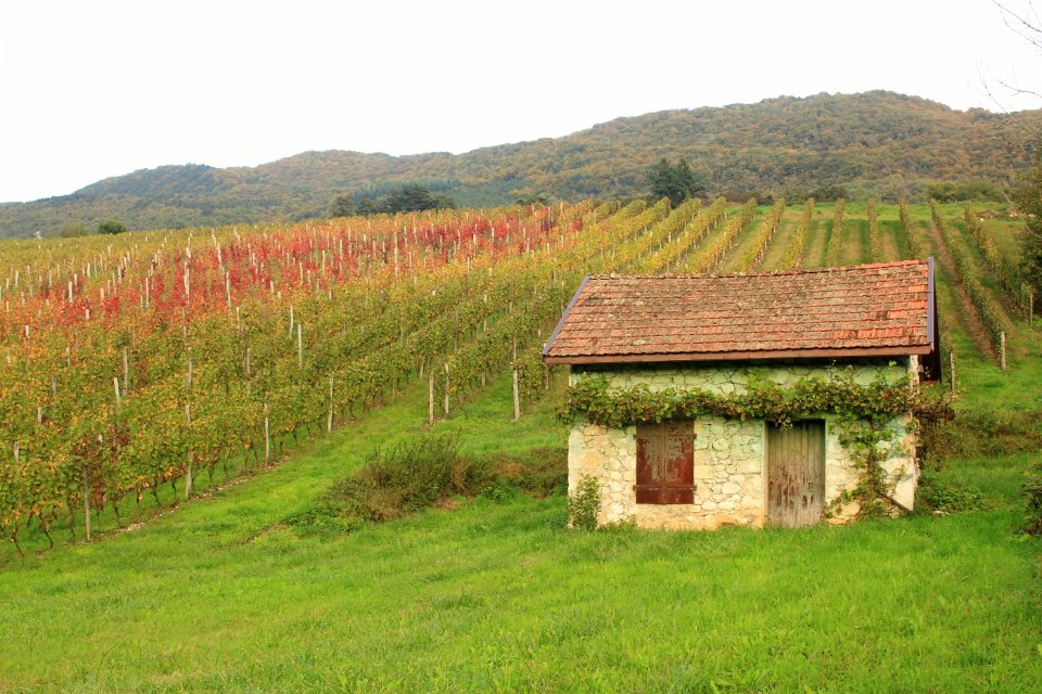 grand colombier 7