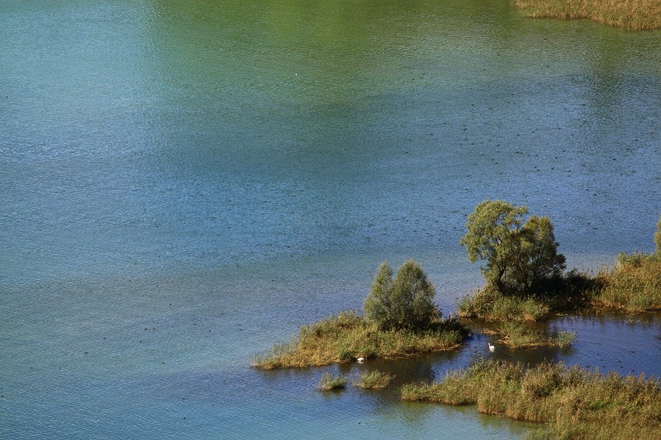 le lac du bourget2