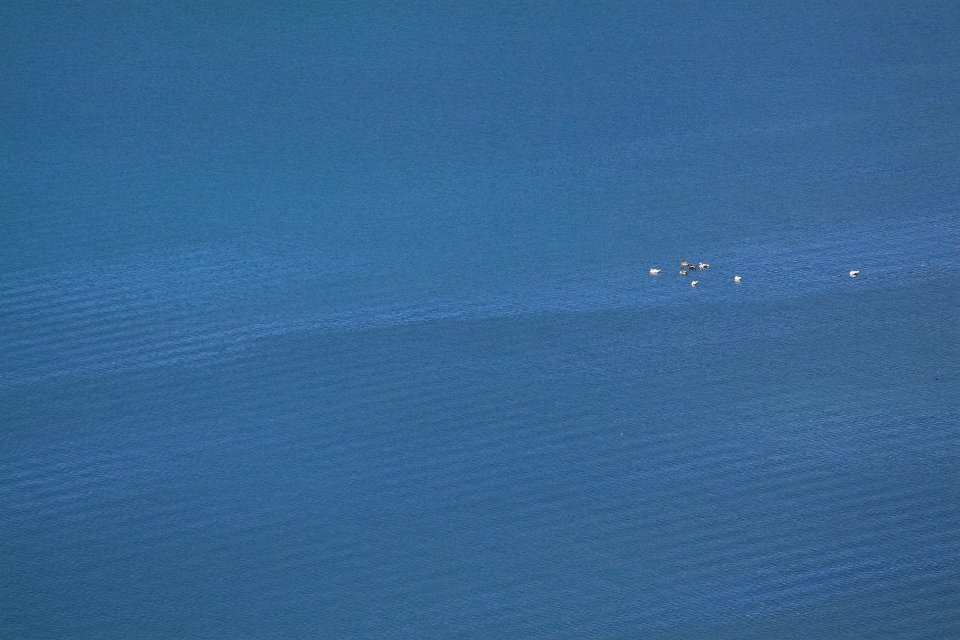 le lac du bourget4